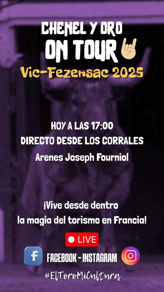directo viv