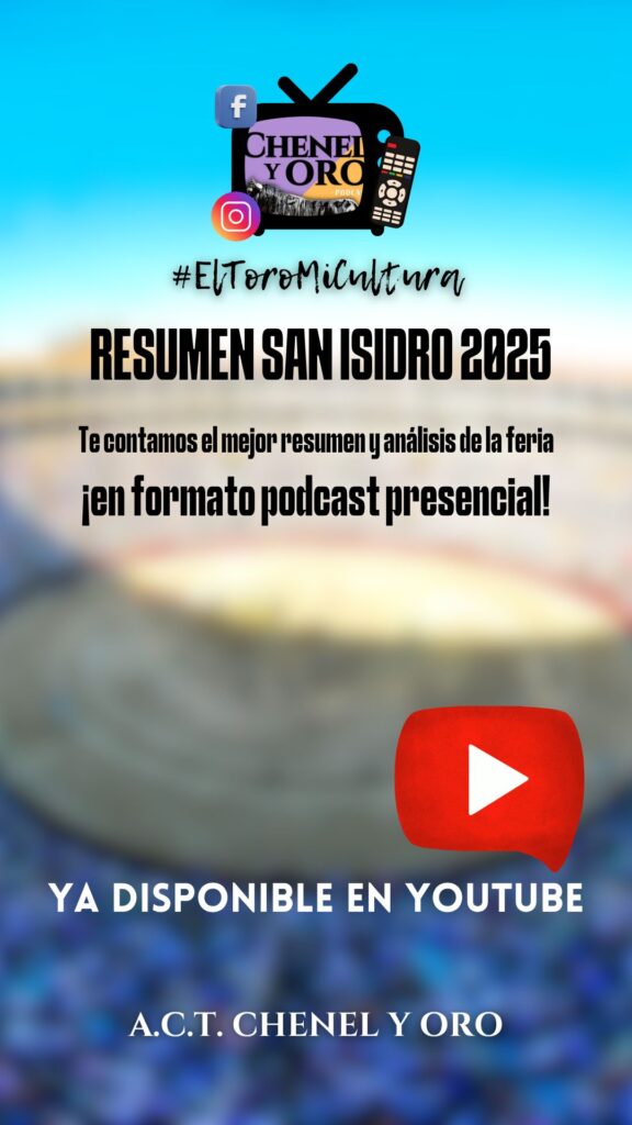 programa youtube